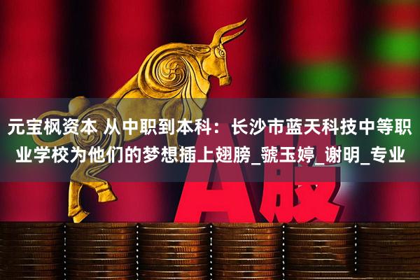 元宝枫资本 从中职到本科：长沙市蓝天科技中等职业学校为他们的梦想插上翅膀_虢玉婷_谢明_专业