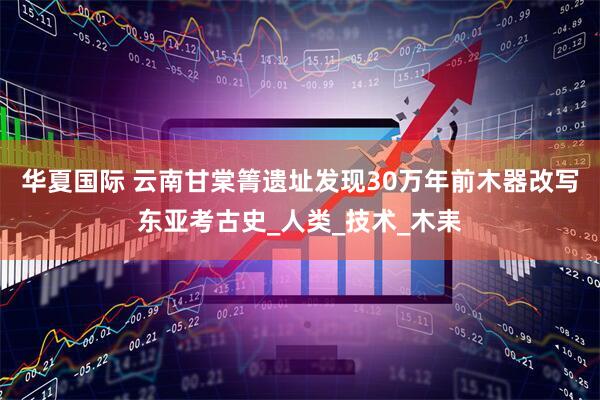 华夏国际 云南甘棠箐遗址发现30万年前木器改写东亚考古史_人类_技术_木耒