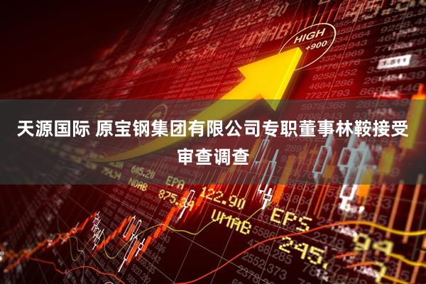 天源国际 原宝钢集团有限公司专职董事林鞍接受审查调查
